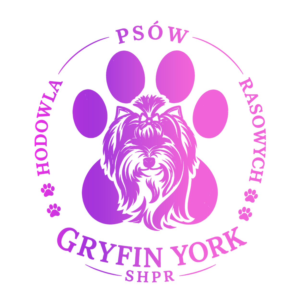 GRYFIN YORK
